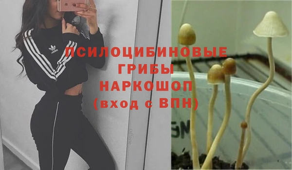 MDMA Premium VHQ Волоколамск